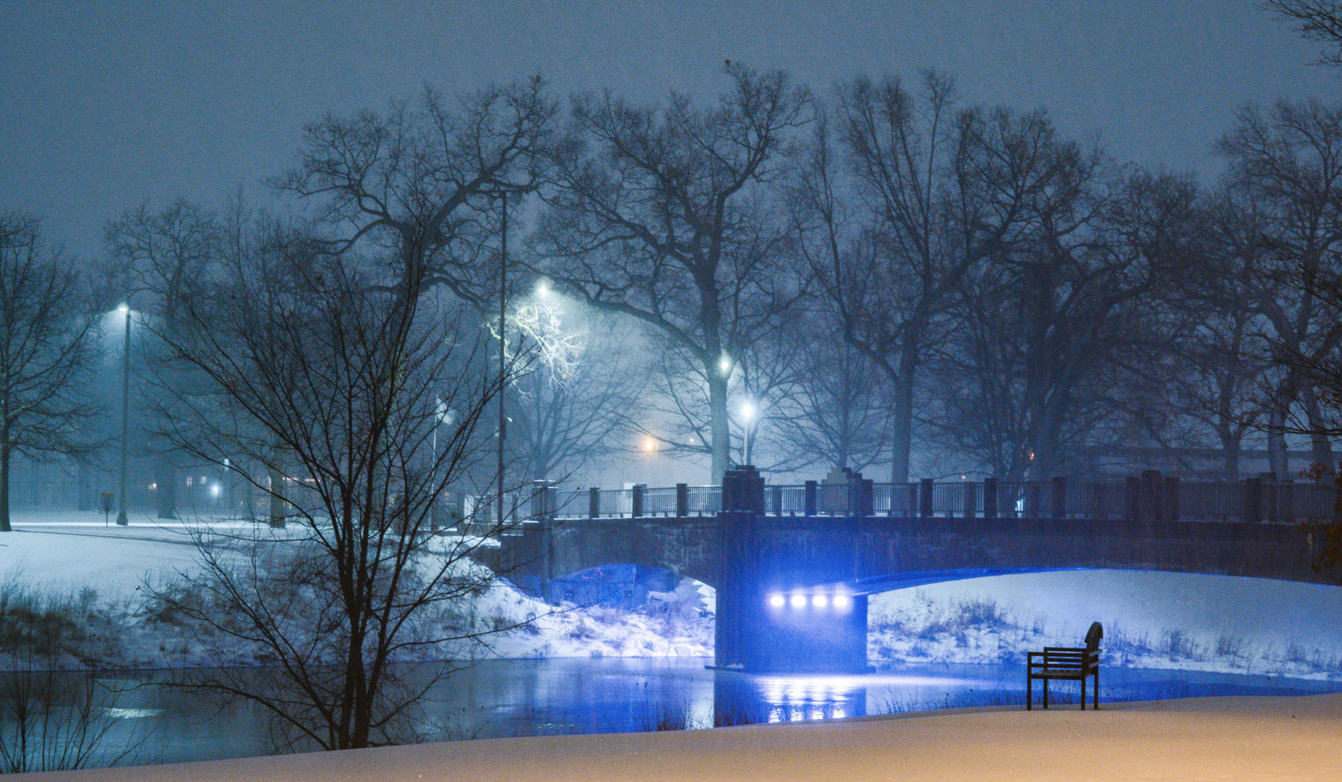 Photo of the day January 4